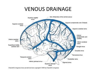 VENOUS DRAINAGE
 