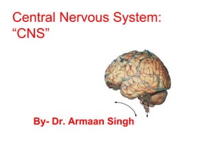 Central Nervous System:
“CNS”
By- Dr. Armaan Singh
 