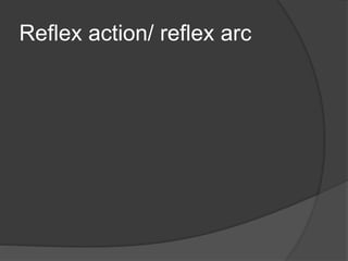 Reflex action/ reflex arc
 