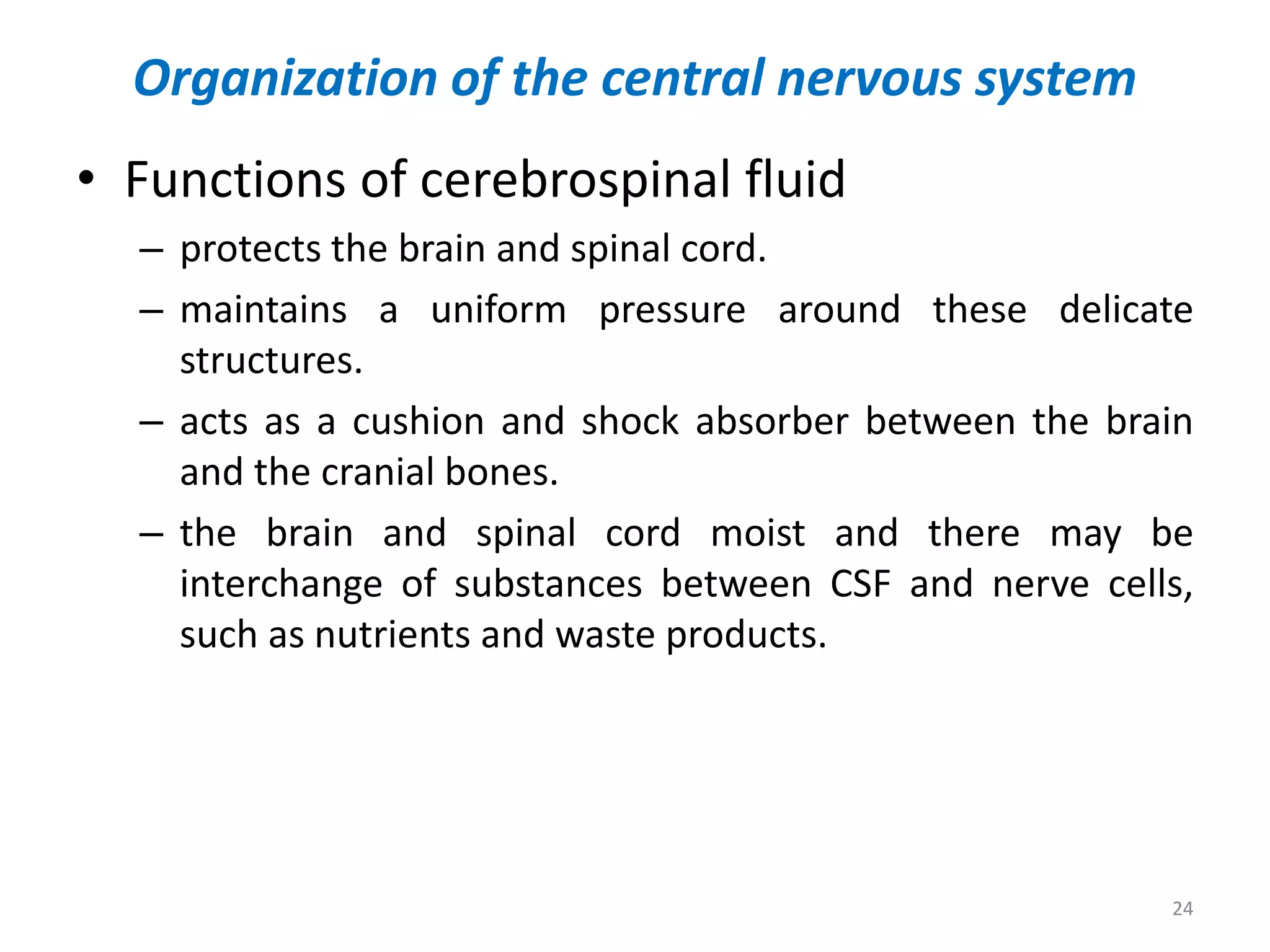 Central nervous system | PPTX
