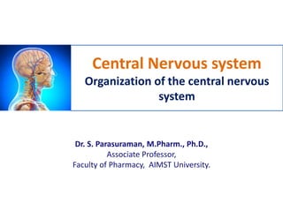 Central Nervous system
Organization of the central nervous
system
Dr. S. Parasuraman, M.Pharm., Ph.D.,
Associate Professor,
Faculty of Pharmacy, AIMST University.
 