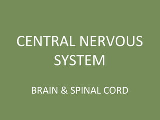 CENTRAL NERVOUS
SYSTEM
BRAIN & SPINAL CORD
 