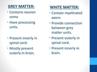 GREY MATTER:
• Contains neuron
soma
• Have processing
units.
• Present innerly in
spinal cord.
• Mostly present
outerly in brain.
WHITE MATTER:
• Contain myelinated
axons
• Provide connection
between grey
matter units.
• Present outerly in
spinal cord.
• Present innerly in
brain.
 