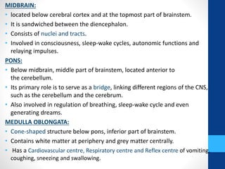MIDBRAIN:
• located below cerebral cortex and at the topmost part of brainstem.
• It is sandwiched between the diencephalon.
• Consists of nuclei and tracts.
• Involved in consciousness, sleep-wake cycles, autonomic functions and
relaying impulses.
PONS:
• Below midbrain, middle part of brainstem, located anterior to
the cerebellum.
• Its primary role is to serve as a bridge, linking different regions of the CNS,
such as the cerebellum and the cerebrum.
• Also involved in regulation of breathing, sleep-wake cycle and even
generating dreams.
MEDULLA OBLONGATA:
• Cone-shaped structure below pons, inferior part of brainstem.
• Contains white matter at periphery and grey matter centrally.
• Has a Cardiovascular centre, Respiratory centre and Reflex centre of vomiting,
coughing, sneezing and swallowing.
 