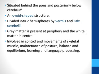 • Situated behind the pons and posteriorly below
cerebrum.
• An ovoid-shaped structure.
• Divided into 2 hemispheres by Vermis and Falx
cerebelli.
• Grey matter is present at periphery and the white
matter in centre.
• Involved in control and movements of skeletal
muscle, maintenance of posture, balance and
equilibrium, learning and language processing.
 