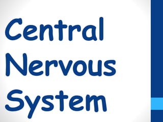 Central
Nervous
System
 