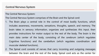 Central Nervous System.pptx