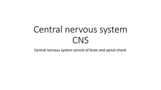 Comprehensive Overview of the Central Nervous System: Brain and Spinal ...