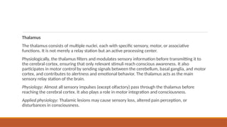 Comprehensive Overview of the Human Nervous System and Brain Functions ...