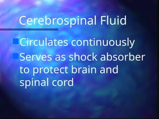 Cerebrospinal Fluid
Circulates continuously
Serves as shock absorber
to protect brain and
spinal cord
 