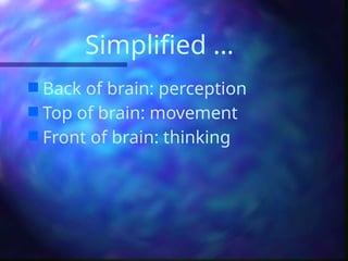 Simplified …
 Back of brain: perception
 Top of brain: movement
 Front of brain: thinking
 