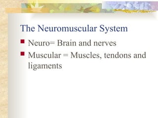 The Neuromuscular System
 Neuro= Brain and nerves
 Muscular = Muscles, tendons and
ligaments
 
