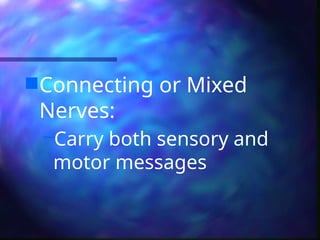 Connecting or Mixed
Nerves:
–Carry both sensory and
motor messages
 