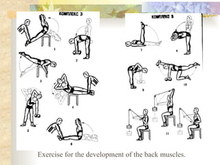 Exercise for the development of the back muscles.
 