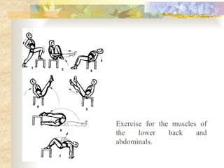 Exercise for the muscles of
the lower back and
abdominals.
 