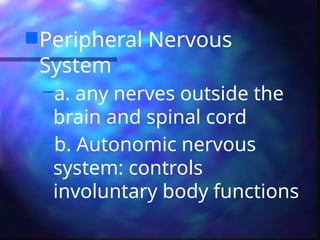 Peripheral Nervous
System
–a. any nerves outside the
brain and spinal cord
–b. Autonomic nervous
system: controls
involuntary body functions
 