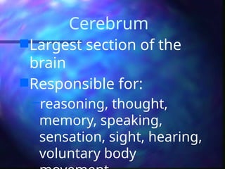 Cerebrum
Largest section of the
brain
Responsible for:
–reasoning, thought,
memory, speaking,
sensation, sight, hearing,
voluntary body
 
