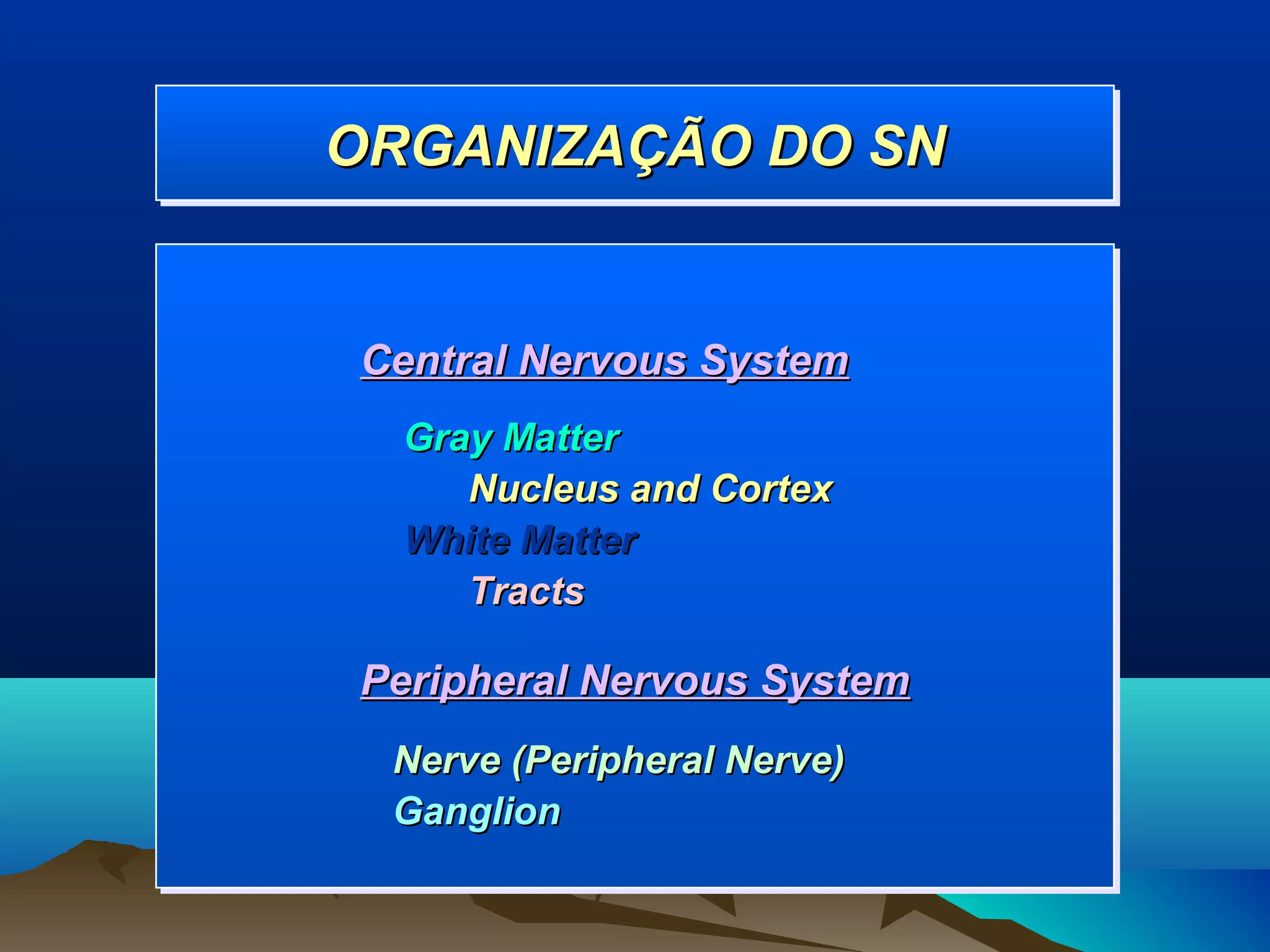 ORGANIZAÇÃO DO SN
ORGANIZAÇÃO DO SN


Central Nervous System
  Gray Matter
     Nucleus and Cortex
  White Matter
     Tracts

Peripheral Nervous System
 Nerve (Peripheral Nerve)
 Ganglion
 