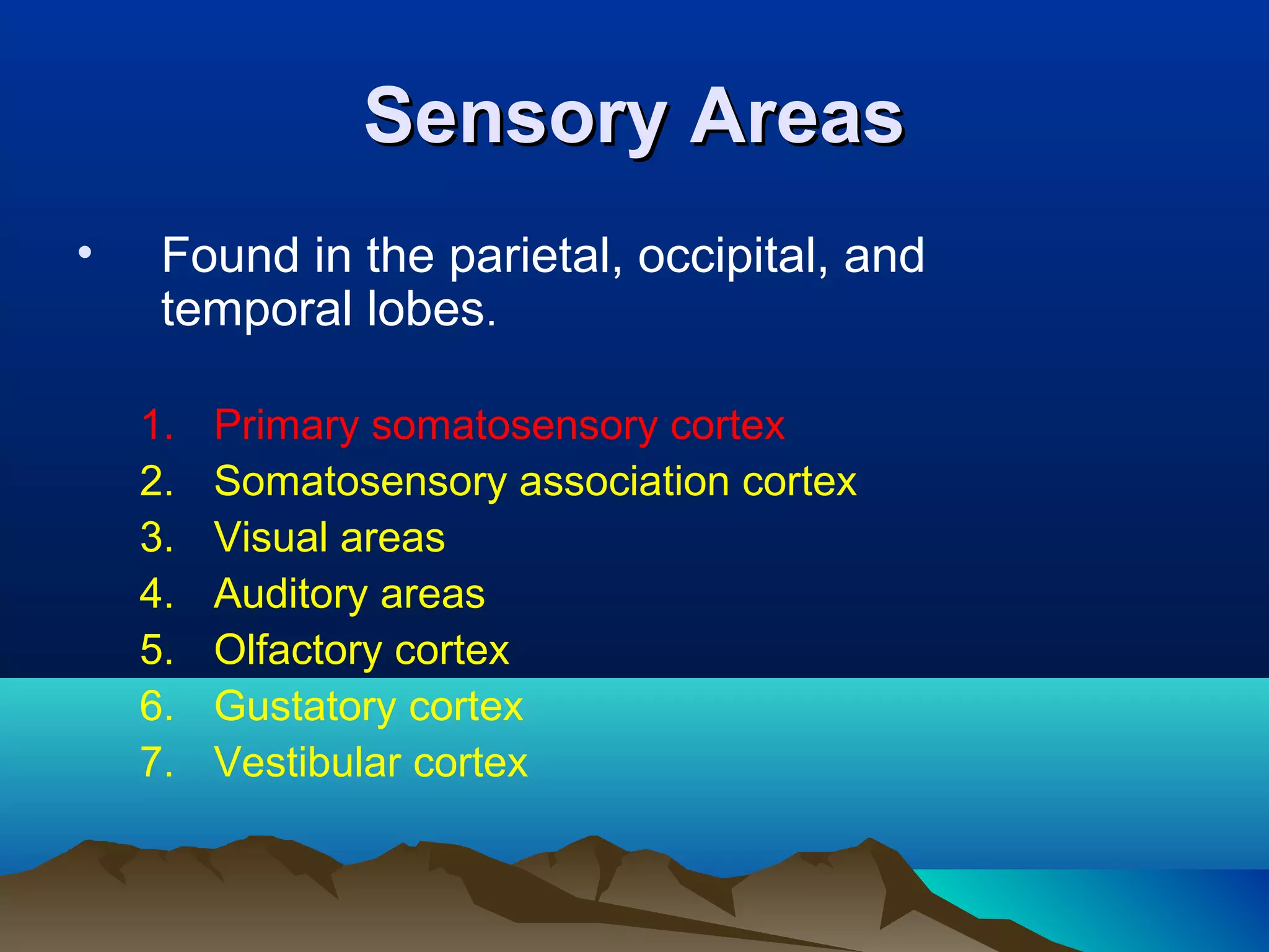 Sensory Areas
•    Found in the parietal, occipital, and
     temporal lobes.

    1.   Primary somatosensory cortex
    2.   Somatosensory association cortex
    3.   Visual areas
    4.   Auditory areas
    5.   Olfactory cortex
    6.   Gustatory cortex
    7.   Vestibular cortex
 