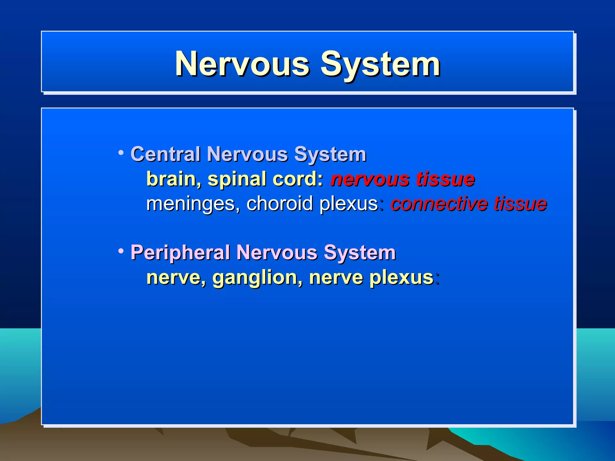 Nervous System
      Nervous System

• Central Nervous System
   brain, spinal cord: nervous tissue
   meninges, choroid plexus: connective tissue

• Peripheral Nervous System
   nerve, ganglion, nerve plexus:
 
