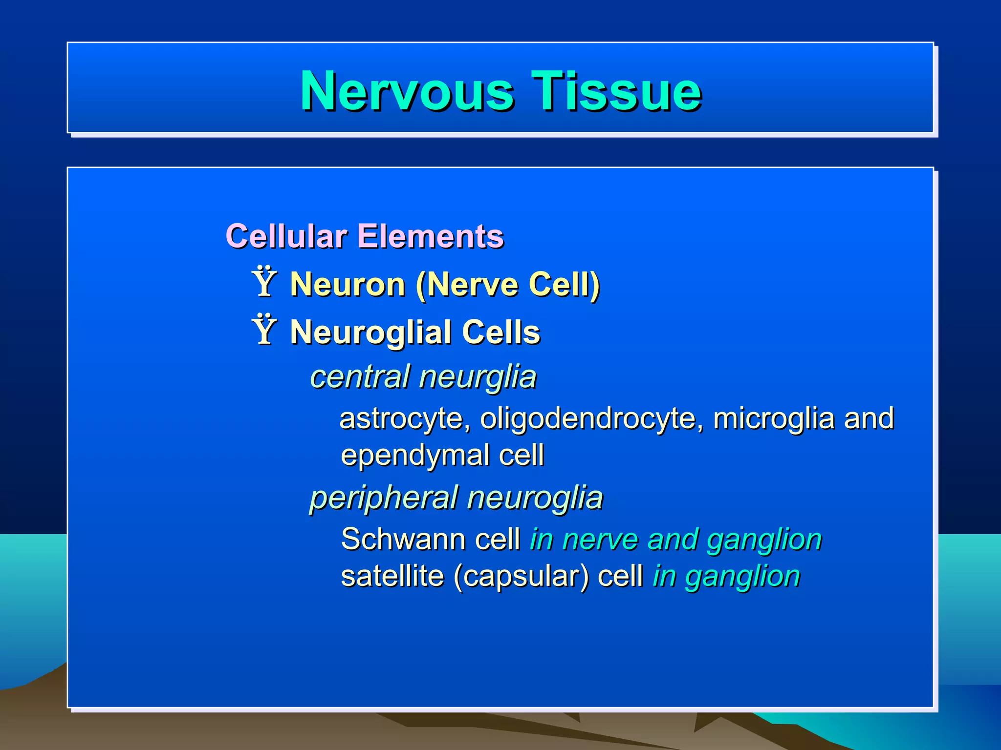 Nervous Tissue
    Nervous Tissue

Cellular Elements
 Ÿ Neuron (Nerve Cell)
 Ÿ Neuroglial Cells
     central neurglia
      astrocyte, oligodendrocyte, microglia and
      ependymal cell
    peripheral neuroglia
      Schwann cell in nerve and ganglion
      satellite (capsular) cell in ganglion
 