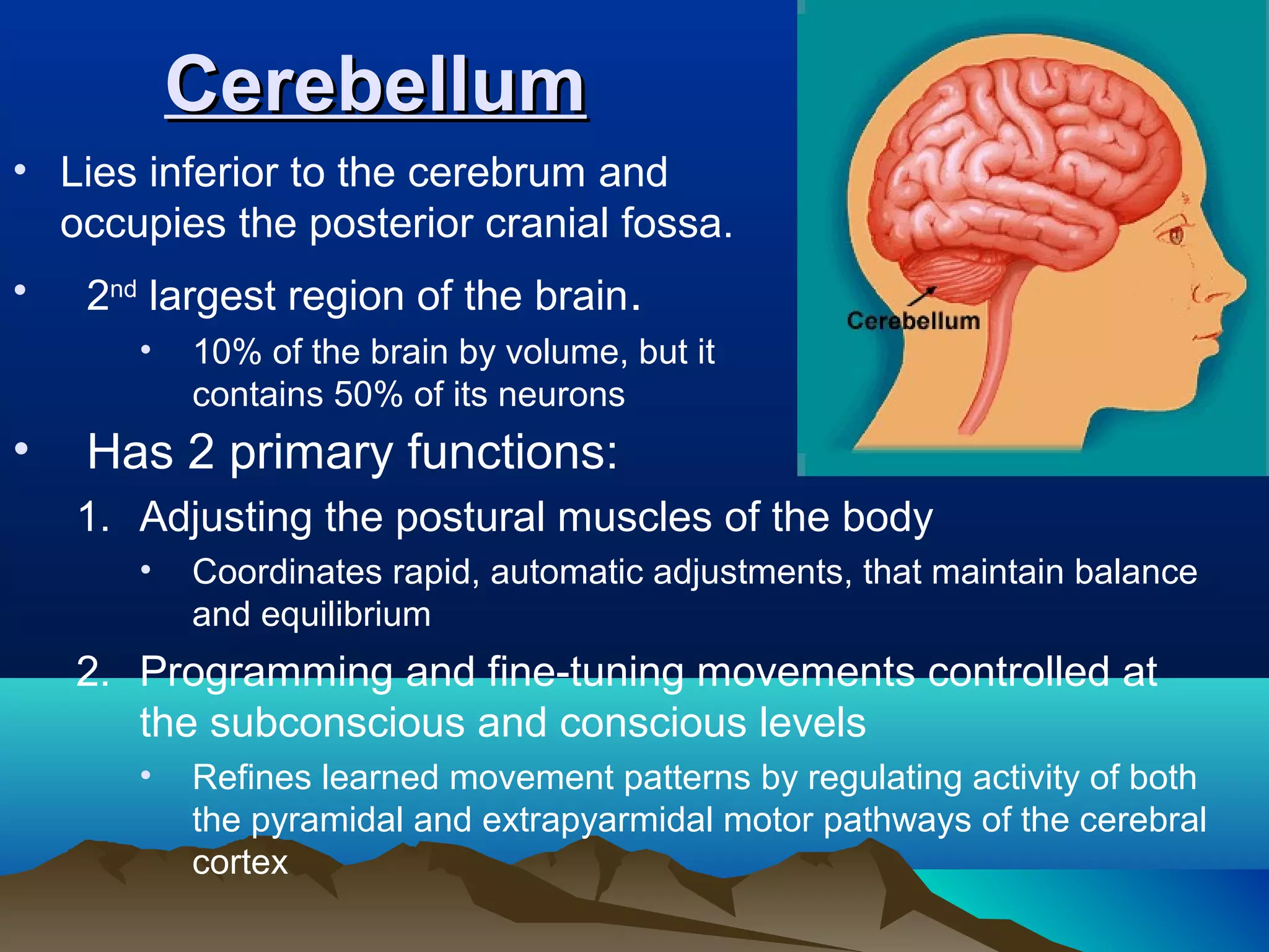Cerebellum
• Lies inferior to the cerebrum and
  occupies the posterior cranial fossa.
•   2nd largest region of the brain.
       •   10% of the brain by volume, but it
           contains 50% of its neurons
•   Has 2 primary functions:
    1. Adjusting the postural muscles of the body
       •   Coordinates rapid, automatic adjustments, that maintain balance
           and equilibrium
    2. Programming and fine-tuning movements controlled at
       the subconscious and conscious levels
       •   Refines learned movement patterns by regulating activity of both
           the pyramidal and extrapyarmidal motor pathways of the cerebral
           cortex
 
