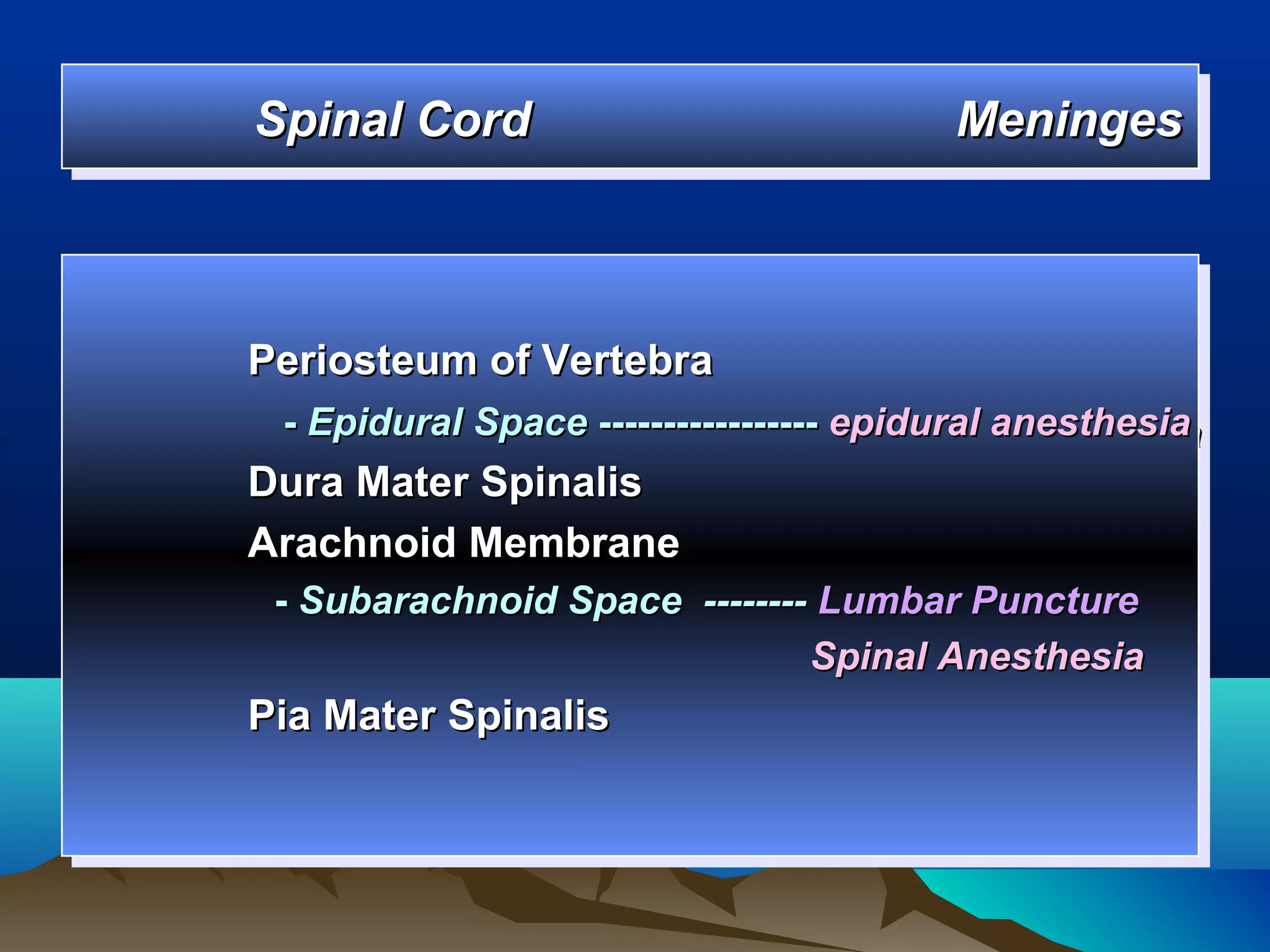Spinal Cord
Spinal Cord                             Meninges
                                        Meninges



Periosteum of Vertebra
Periosteum of Vertebra
 --Epidural Space ----------------- epidural anesthesia
   Epidural Space ----------------- epidural anesthesia
Dura Mater Spinalis
Dura Mater Spinalis
Arachnoid Membrane
Arachnoid Membrane
 --Subarachnoid Space -------- Lumbar Puncture
   Subarachnoid Space -------- Lumbar Puncture
                              Spinal Anesthesia
                               Spinal Anesthesia
Pia Mater Spinalis
Pia Mater Spinalis
 