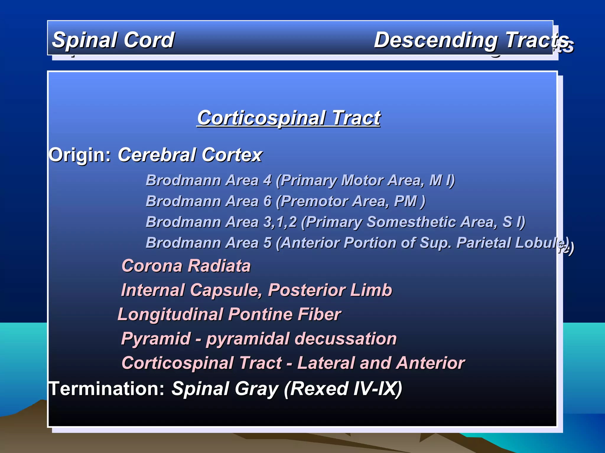 Spinal Cord
Spinal Cord                             Descending Tracts
                                        Descending Tracts


                Corticospinal Tract
                Corticospinal Tract
Origin: Cerebral Cortex
Origin: Cerebral Cortex
          Brodmann Area 4 (Primary Motor Area, M I)
          Brodmann Area 4 (Primary Motor Area, M I)
          Brodmann Area 6 (Premotor Area, PM ))
          Brodmann Area 6 (Premotor Area, PM
          Brodmann Area 3,1,2 (Primary Somesthetic Area, S I)
          Brodmann Area 3,1,2 (Primary Somesthetic Area, S I)
          Brodmann Area 5 (Anterior Portion of Sup. Parietal Lobule)
          Brodmann Area 5 (Anterior Portion of Sup. Parietal Lobule)
       Corona Radiata
        Corona Radiata
       lnternal Capsule, Posterior Limb
        lnternal Capsule, Posterior Limb
       Longitudinal Pontine Fiber
       Longitudinal Pontine Fiber
       Pyramid --pyramidal decussation
        Pyramid pyramidal decussation
       Corticospinal Tract --Lateral and Anterior
        Corticospinal Tract Lateral and Anterior
Termination: Spinal Gray (Rexed IV-IX)
Termination: Spinal Gray (Rexed IV-IX)
 