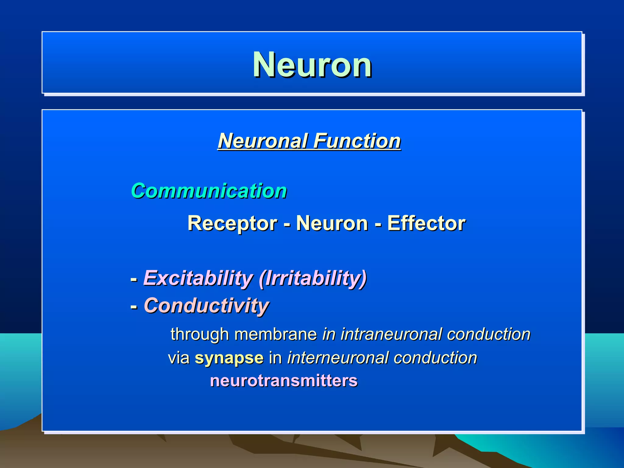 Neuron
              Neuron
          Neuronal Function

Communication
      Receptor - Neuron - Effector

- Excitability (Irritability)
- Conductivity
    through membrane in intraneuronal conduction
    via synapse in interneuronal conduction
          neurotransmitters
 