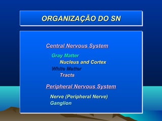 ORGANIZAÇÃO DO SN
ORGANIZAÇÃO DO SN


Central Nervous System
  Gray Matter
     Nucleus and Cortex
  White Matter
     Tracts

Peripheral Nervous System
 Nerve (Peripheral Nerve)
 Ganglion
 