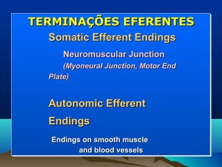TERMINAÇÕES EFERENTES
  Somatic Efferent Endings
     Neuromuscular Junction
      (Myoneural Junction, Motor End
  Plate)


  Autonomic Efferent
  Endings
  Endings on smooth muscle
         and blood vessels
 