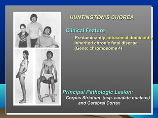 HUNTINGTON’S CHOREA

 Clinical Feature
   - Predominantly autosomal dominantly
     inherited chronic fatal disease
     (Gene: chromosome 4)




Principal Pathologic Lesion:
 Corpus Striatum (esp. caudate nucleus)
      and Cerebral Cortex
 