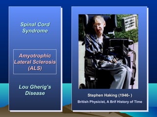 Spinal Cord
  Spinal Cord
   Syndrome
   Syndrome



  Amyotrophic
  Amyotrophic
Lateral Sclerosis
Lateral Sclerosis
     (ALS)
      (ALS)


 Lou Gherig’s
 Lou Gherig’s
   Disease
   Disease                Stephen Haking (1946- )
                    British Physicist, A Brif History of Time
 