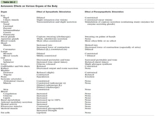 Central Nervous System Physiology