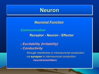 Neuron
              Neuron
          Neuronal Function

Communication
      Receptor - Neuron - Effector

- Excitability (Irritability)
- Conductivity
    through membrane in intraneuronal conduction
    via synapse in interneuronal conduction
          neurotransmitters
 
