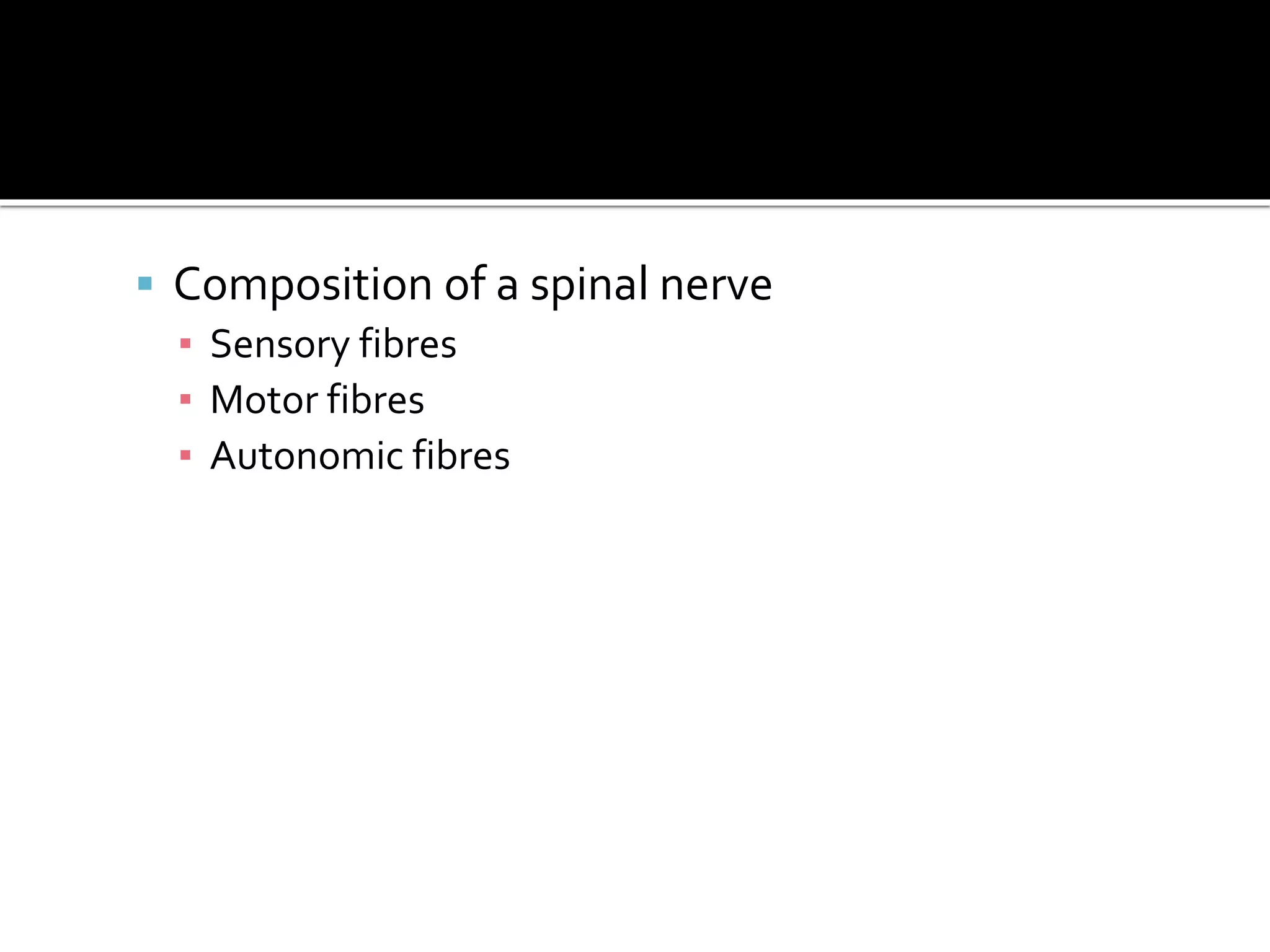  Composition of a spinal nerve
▪ Sensory fibres
▪ Motor fibres
▪ Autonomic fibres
 