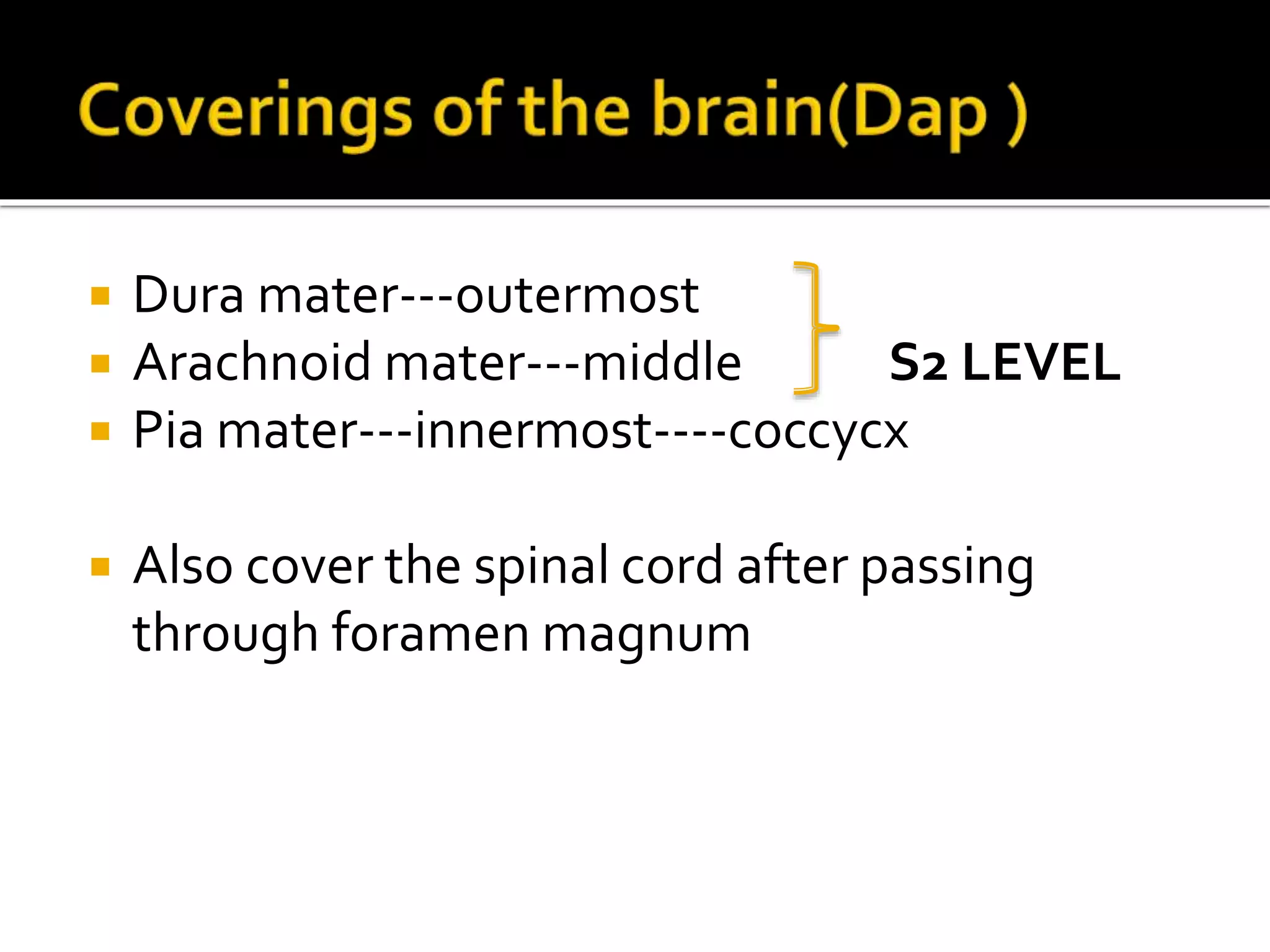  Dura mater---outermost
 Arachnoid mater---middle S2 LEVEL
 Pia mater---innermost----coccycx
 Also cover the spinal cord after passing
through foramen magnum
 