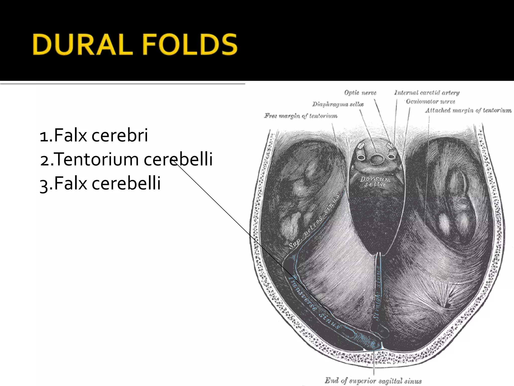 1.Falx cerebri
2.Tentorium cerebelli
3.Falx cerebelli
 