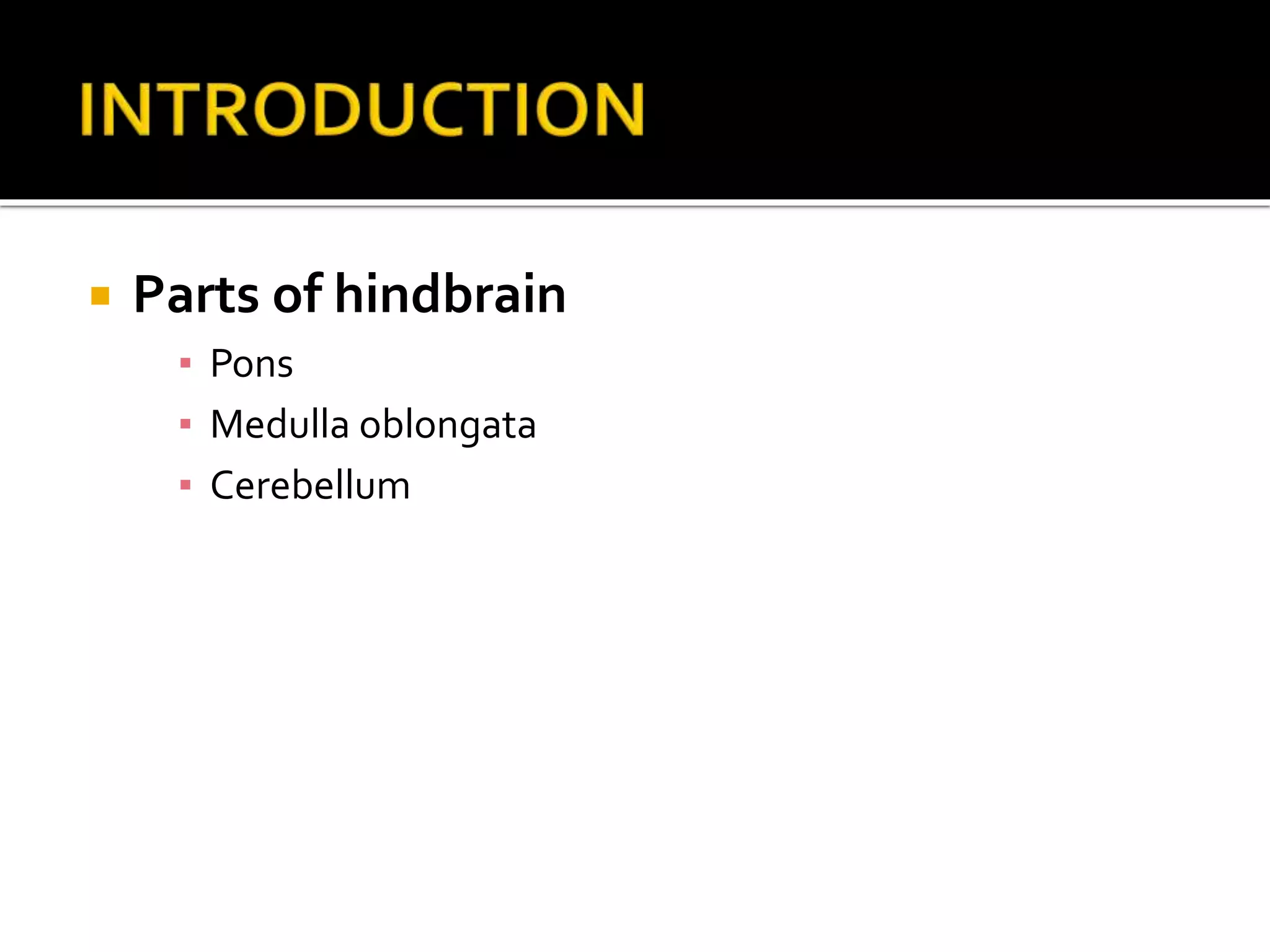  Parts of hindbrain
▪ Pons
▪ Medulla oblongata
▪ Cerebellum
 