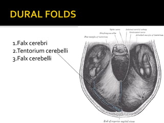 1.Falx cerebri
2.Tentorium cerebelli
3.Falx cerebelli
 