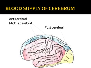 Ant cerebral
Middle cerebral
Post cerebral
 