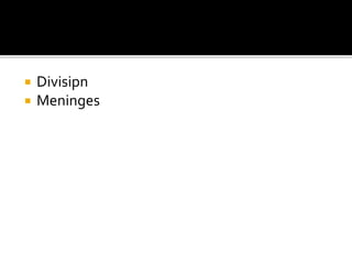  Divisipn
 Meninges
 