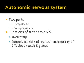  Two parts
▪ Sympathetic
▪ Parasympathetic
 Functions of autonomic N S
 Involuntary
 Controls activities of heart, smooth muscles of
GIT, blood vessels & glands
 