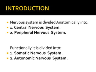  Nervous system is dividedAnatomically into:
 1. Central Nervous System.
 2. Peripheral Nervous System.
Functionally it is divided into:
 1. Somatic Nervous System .
 2. Autonomic Nervous System .
 