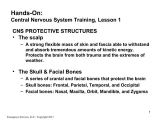 1
Emergency Services, LLC / Copyright 2013
Hands-On:
Central Nervous System Training, Lesson 1
CNS PROTECTIVE STRUCTURES
• The scalp
– A strong flexible mass of skin and fascia able to withstand
and absorb tremendous amounts of kinetic energy.
Protects the brain from both trauma and the extremes of
weather.
• The Skull & Facial Bones
– A series of cranial and facial bones that protect the brain
– Skull bones: Frontal, Parietal, Temporal, and Occipital
– Facial bones: Nasal, Maxilla, Orbit, Mandible, and Zygoma
 