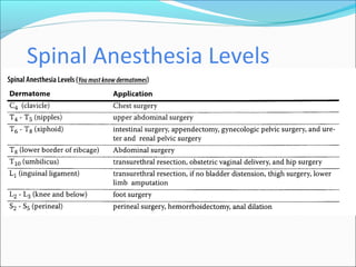Spinal Anesthesia Levels
 