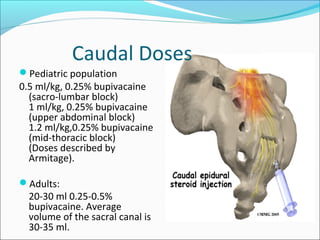 Caudal Doses
Pediatric population
0.5 ml/kg, 0.25% bupivacaine
(sacro-lumbar block)
1 ml/kg, 0.25% bupivacaine
(upper abdominal block)
1.2 ml/kg,0.25% bupivacaine
(mid-thoracic block)
(Doses described by
Armitage).
Adults:
20-30 ml 0.25-0.5%
bupivacaine. Average
volume of the sacral canal is
30-35 ml.
 