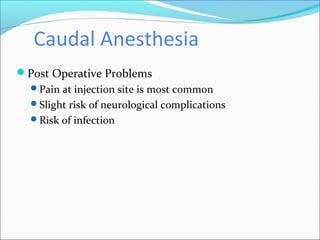 Caudal Anesthesia
Post Operative Problems
Pain at injection site is most common
Slight risk of neurological complications
Risk of infection
 