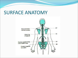 SURFACE ANATOMY
 