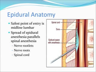 Epidural Anatomy
 Safest point of entry is
midline lumbar
 Spread of epidural
anesthesia parallels
spinal anesthesia
◦ Nerve rootlets
◦ Nerve roots
◦ Spinal cord
 
